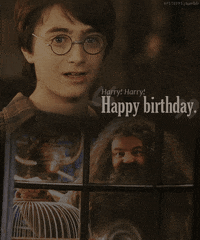 harry stuff GIF