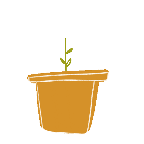 Plant Grow Sticker