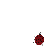 Lady Bug Sticker