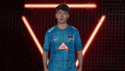 Berlin Sweating GIF by Bundesliga