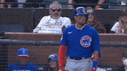 Confused Major League Baseball GIF by MLB