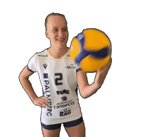 Schwerinersc Sticker by SSCPalmbergSchwerin