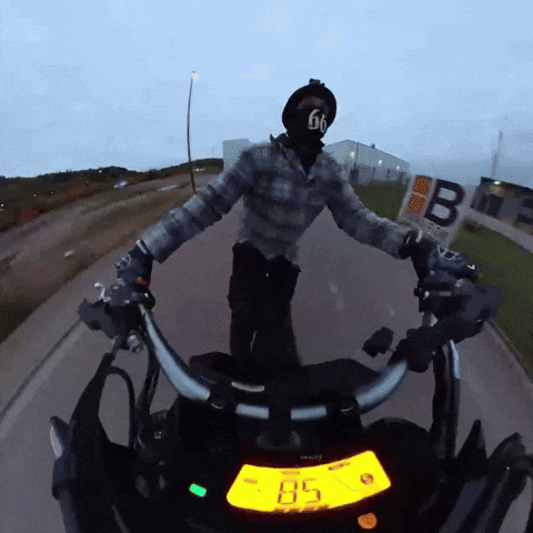 Bikelife-Saarland giphycreatortest biker stunt wheelie GIF