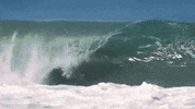 GIF by Rip Curl