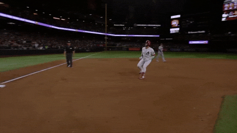 Arizona Diamondbacks Sport GIF by MLB