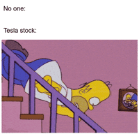 Elon Musk Trump GIF