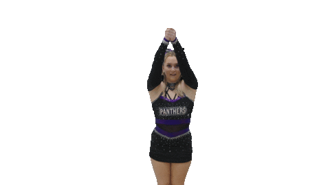 Cheer Gopanthers Sticker by University of Brighton