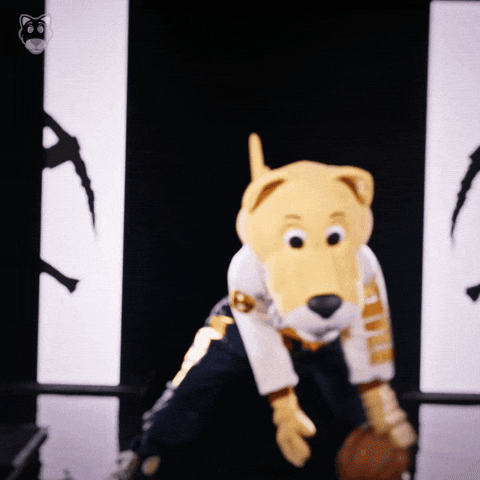 Mascot GIF by Denver Nuggets