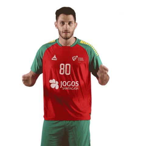 Ehfeuro Sticker by Federação de Andebol de Portugal