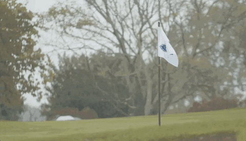 Golf Flag GIF by Delaware Blue Hens