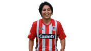San Luis Soccer Sticker by Atlético de San Luis