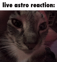 Astro Cat GIF