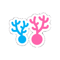 Corals Sticker by Tourism Philippines