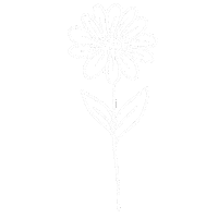 Daisy Flower Sticker
