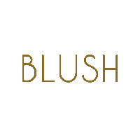 blush-conceptstore blush blush concept store blushconceptstore Sticker