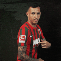 Logo Bundesliga GIF by FC Augsburg 1907