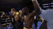 toprank boxing fighting espn fighters GIF