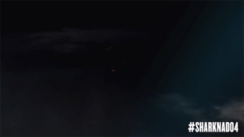 sharks jaws GIF by SYFY