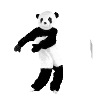 Happy Dance Sticker by WWF Deutschland