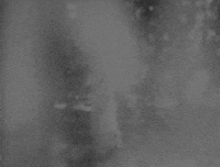 ghost GIF