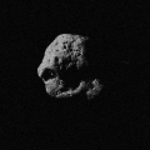 SkottieC giphyupload GIF