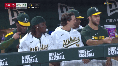 Sport Laugh GIF by MLB
