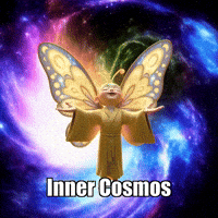 Buddhafly Character GIF by BuddhaFlyJourney