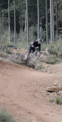 Santa Cruz Fun GIF by StifMTB
