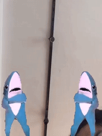 beta GIF