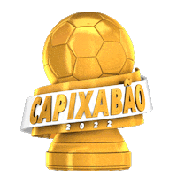 Capixabao Sticker by futebolcapixabaoficial