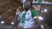 lnb_officiel basket lnb csp limoges GIF
