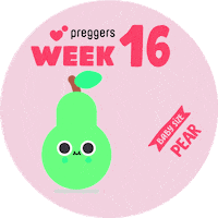 Baby Pregnancy Sticker by Preggers