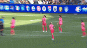 No Way What GIF by National Women's Soccer League