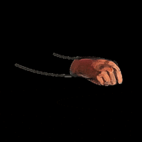 MUITEC muitec muiwow muionline GIF