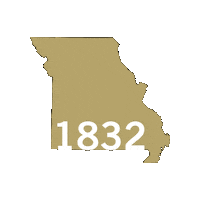 Gold Lions Sticker by Lindenwood University