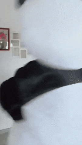 Confused Catch Me GIF