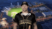 North Carolina Baseball GIF by gohoneyhunters
