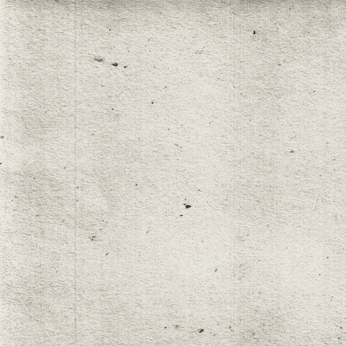 moth partizan GIF by hoppip