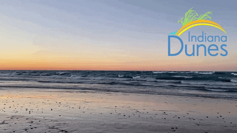 Beach Sunset GIF by Indiana Dunes