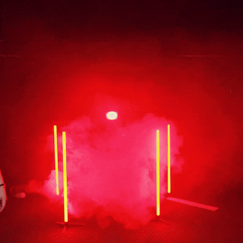 Nijaree Canady GIF by Texas Tech Softball