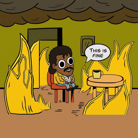 This Is Fine On Fire GIF by Jukebox Saints