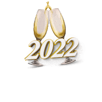 Happy New Year Champagne Sticker by Asun Supermercados