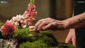 Flowers Australia GIF by MasterChefAU