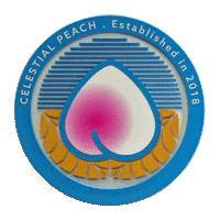 Chinese Food Sticker by Celestial Peach