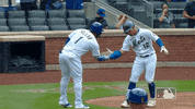 New York Sport GIF by MLB
