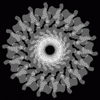 Black And White Art GIF by Joe Winograd