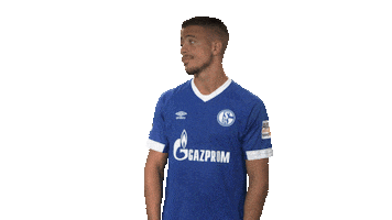 football soccer Sticker by Bundesliga