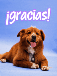 Gracias GIF by Sealed With A GIF