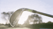 wilsonstaff GIF by Wilson Golf