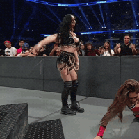 Nikki Bella Wwe GIF
